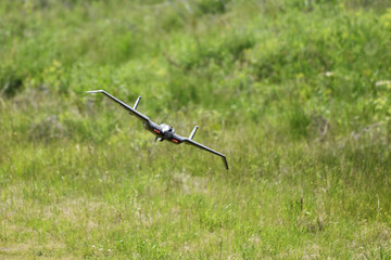 ラジコン飛行機