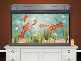 Illustration of lobster aquarium