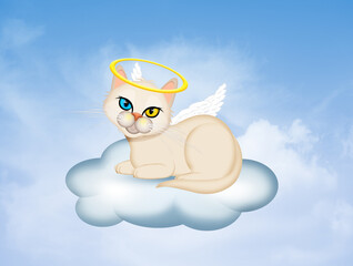 dead little angel kitten in paradise