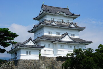 Obraz premium 小田原城天守閣と青空