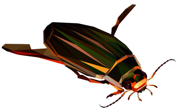 Lowpoly Great Diving Beetle Vector Illustration