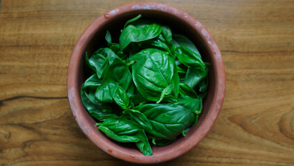 Fresh green basil leaves on wooden background