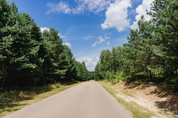 Fototapeta na wymiar Asphalt road through the forest. Summer coniferous forest travel landscape. Long empty straight road and blue cloudy sky above.