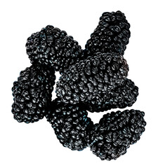 Fresh Mulberry berries Isolated on white background macro. Abstract concept .