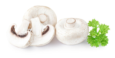 Fototapeta na wymiar Fresh champignon mushrooms, isolated on white background. Edible mushrooms close up.