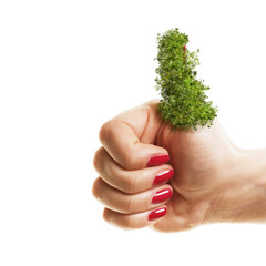 Woman holding her green thumbs up isolated on white background. Planting, gardening and environmental concept.