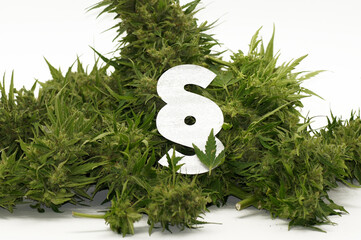 Cannabis Hanf Droge Marihuana Haschisch freigestellt auf weißem Hintergrund