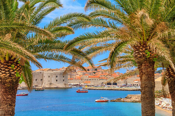 Coastal summer landscape - view of the palm trees on the background of the City Harbour of the Old...