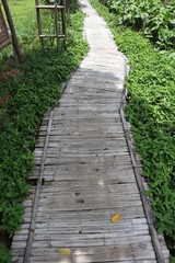 Obraz premium A wooden walkway that passes through the fields along the way