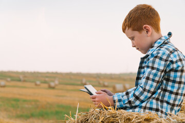 Naklejka na ściany i meble A red-haired boy on top of a straw bale holds a tablet in his hands on a background of hay bales