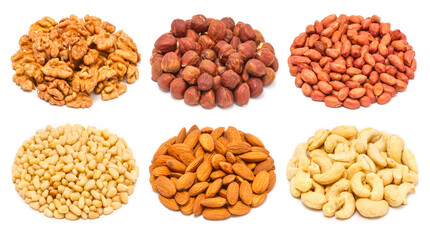 Set of different types of nuts and seeds - peeled walnut, peeled ripe hazelnuts, peeled peanut, peeled pine nut kernels, almond seeds, raw cashew seeds without shell