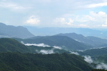 Naklejka premium Green trees forest on the mountain range with white mist and cloudy weather.