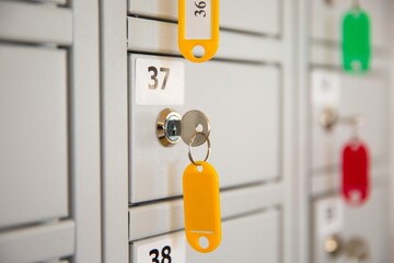 Cabinets in the goods storage office for the general public provide lockers and a secure lock system with number for easy cabinet owners to remember. The concept of protecting assets using lockers