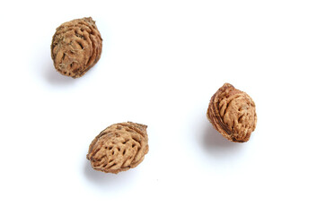 Peach seeds isolated on white background