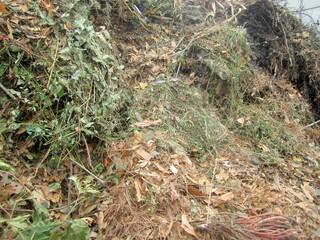 Tas de déchets verts