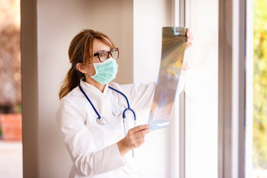 Female doctor analyzing x-ray image