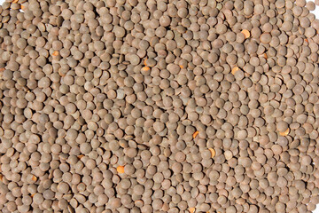 Lentils texture background . bean. soy