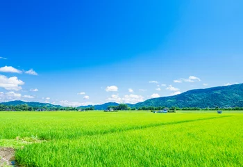 Schilderijen op glas 夏の信州　安曇野の田園風景 © oben901