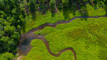 A drone shot of a marsh