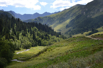 Obraz premium Alpine landscape, cows graze in the distance and a mountain river runs. Cows graze in alpine meadows.