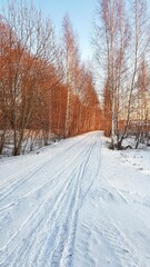 Winter road through the forest.