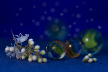 Glass ball with flowers on a dark background. Macrophotography