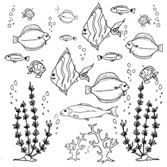 Fish in the sea hand drawn