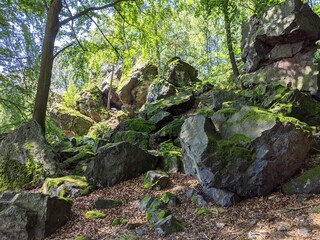 Obraz premium Huge Rocks in a Summer Forest