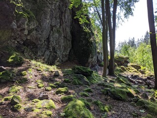 Huge Rocks in a Summer Forest