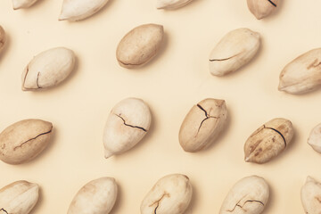 Pecan Nuts Pattern Ton View Horizontal