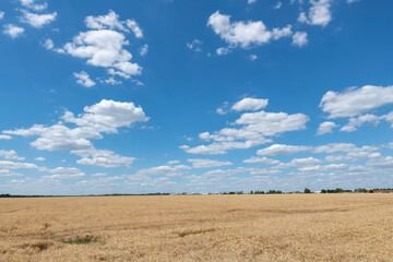 Fototapeta premium bleu sky 青空