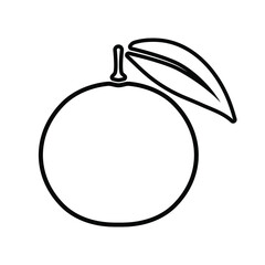 Grapefruit vector icon outline style
