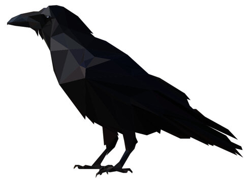 recommend clip art: Lowpoly Raven Vector Illustration