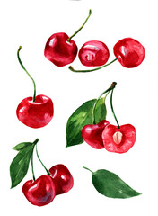 Set of watercolor drawings cherry with leaves. Healthy eating. Vegetarian food. Sweets for dessert