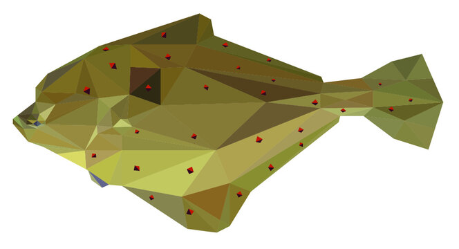 Lowpoly Plaice Vector Illustration