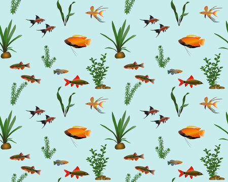 Seamless pattern with freshwater fishes and water plants in colour image. Species of fish: gourami, swordtail, danio, rainbowfish, rainbow shark labeo, nothobranchius