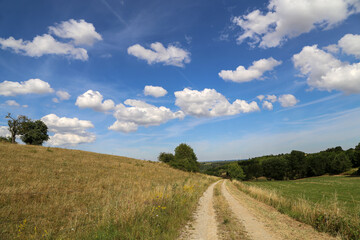 Summer landscape with blue sky and clouds
