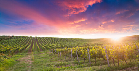 spring landscape of green tuscany and table place texture