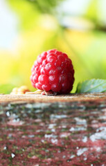 Red raspberries. Blurred green background. Close-up. Top view.