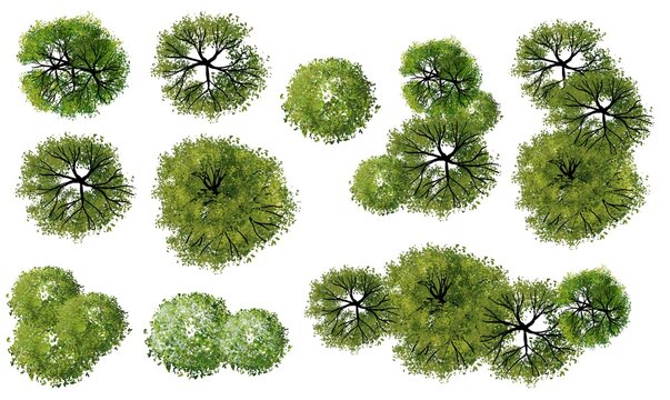 Set of watercolor tree top view for landscape plan and architecture layout 