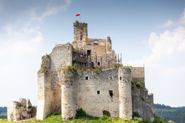 Fototapeta na wymiar Old polish castle ruins in Mirow