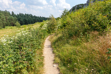 Hiking trail in the Jura Upland in Poland