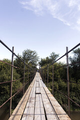 Obraz premium Old wooden bridge above the river among the forest. Summer forest.