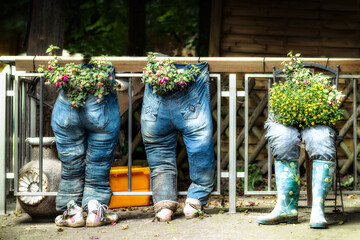 Jeans als Blumentof