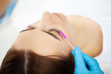 Fototapeta premium Eyelash extension procedure, professional stylist lengthening female lashes.
