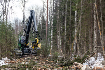 Industrial red harvester at deforestation site