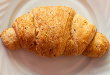 whole grain golden croissant on a white plate