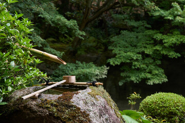 京都の夏の寺院（詩仙堂）