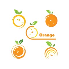 orange fruit  vector  illustration concept  design