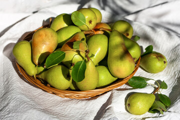 Fresh organic ripe pears with leaves in the wicker basket on white background. Thanksgiving dinner. Healthy eating concept. Selective focus